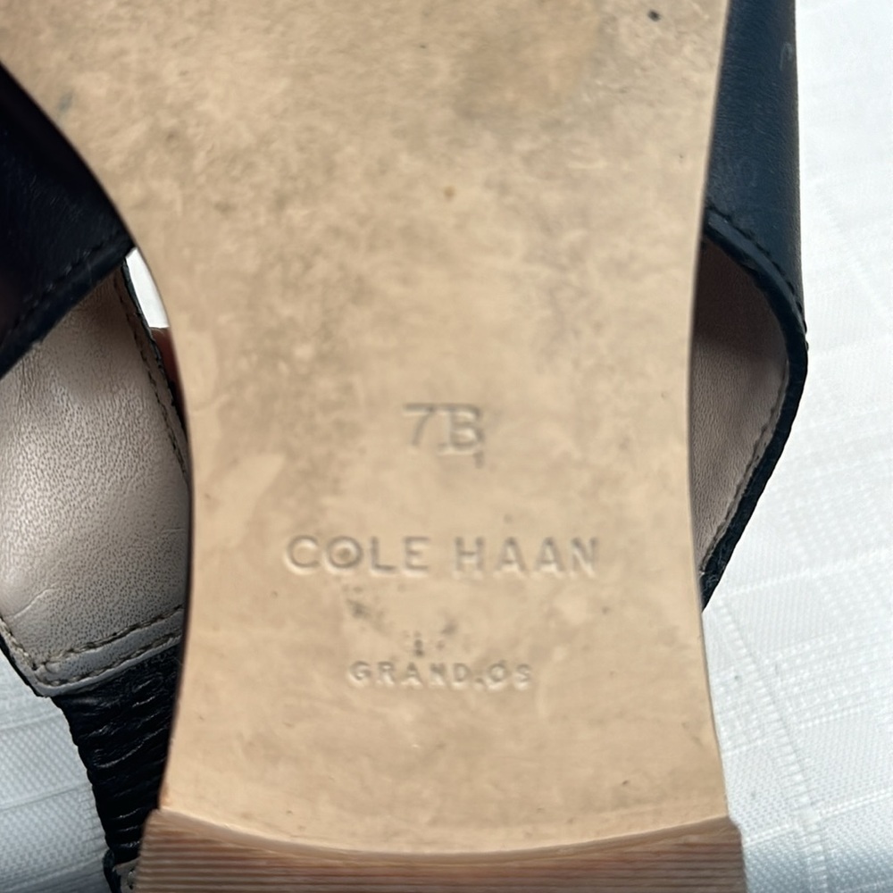 Cole Haan Merrit Leather Slingback Pointed Toe Flats in Black - Picture 6 of 9